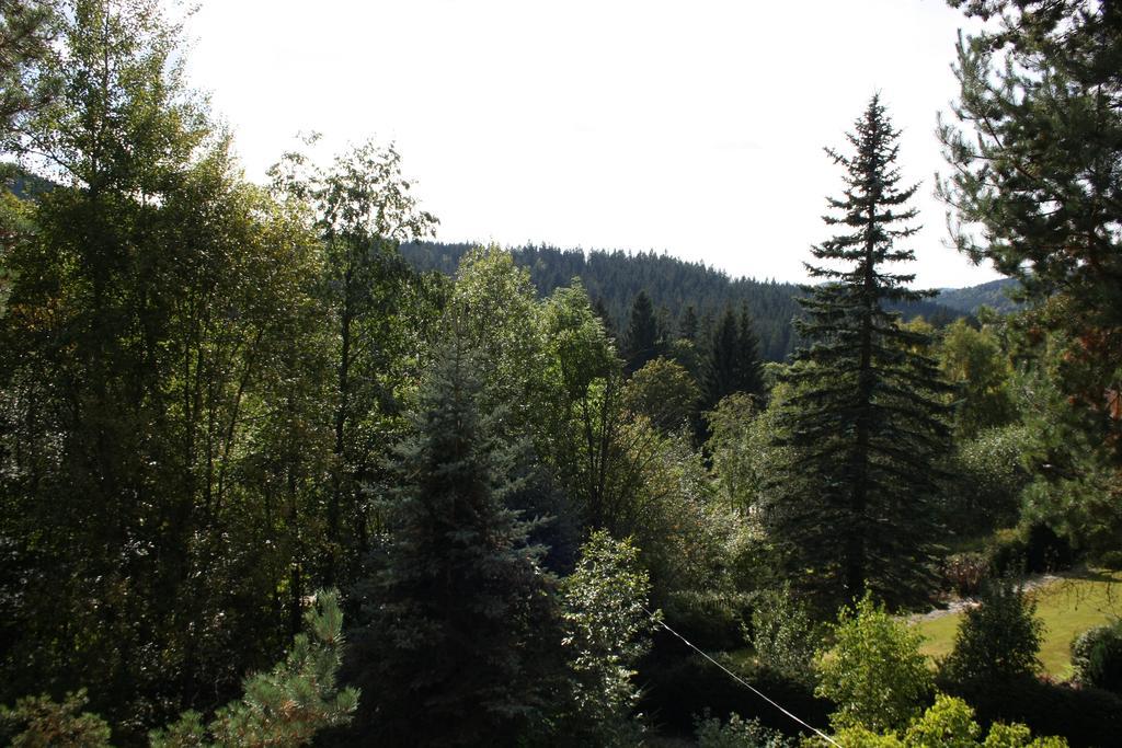 Konvalinka - Ubytovani V Soukromi Harrachov Zewnętrze zdjęcie